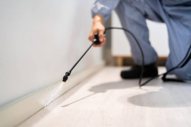 Licensed Mosquito Control service in Madison County County, TX - Nex Pest Control