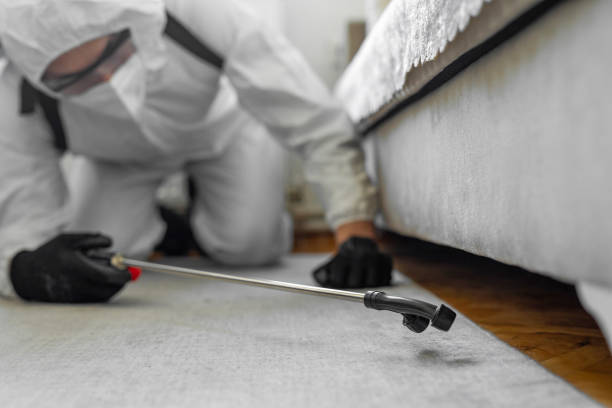 Professional Mosquito Control technician working in Madison County County, TX